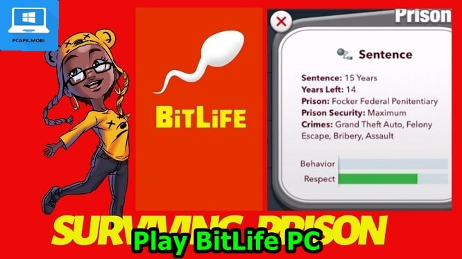 BitLife Simulator PC Download & play Bit Life on Windows