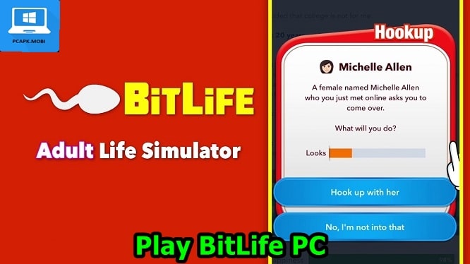 BitLife: Simulator on PC