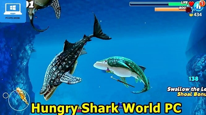 hungry shark world on pc laptop windows 1