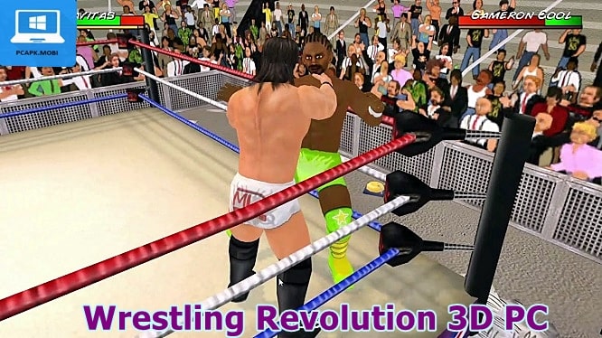 Wrestling Revolution 3D on PC