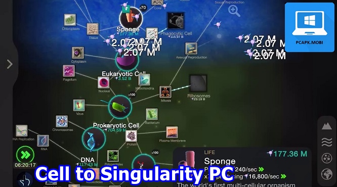 Cell to Singularity on PC