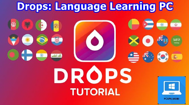 download drops language learning on pc laptop for windows 2