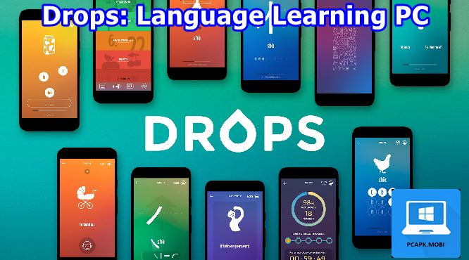Drops Language Learning on PC
