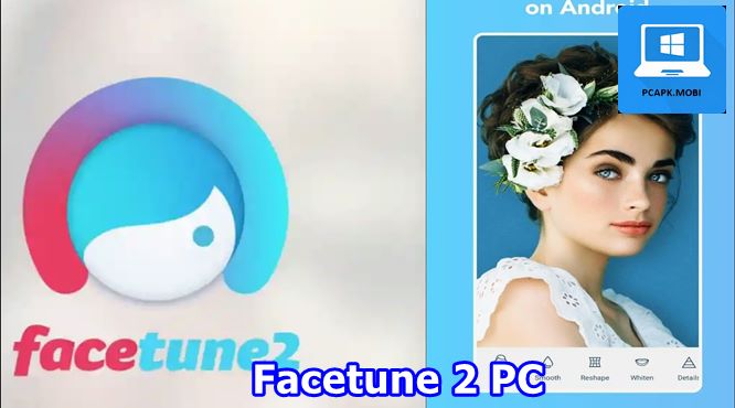 Facetune 2 on PC