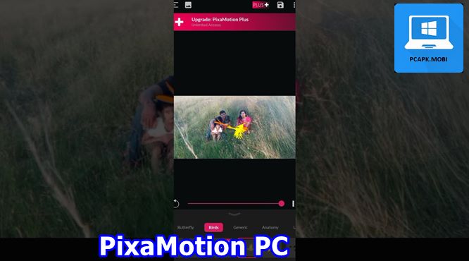 download pixamotion on pc laptop for windows 24