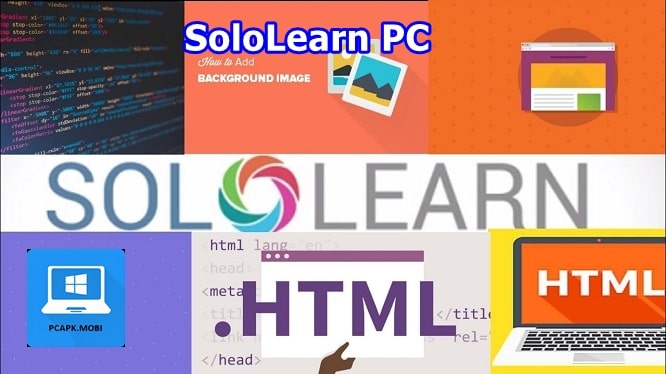 SoloLearn on PC