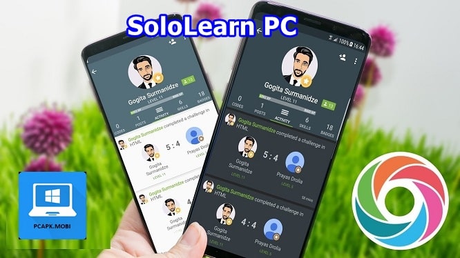 download soloLearn on pc laptop windows 2