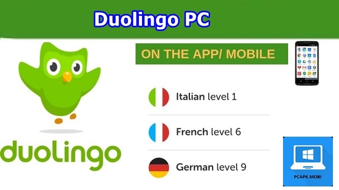 Duolingo on PC
